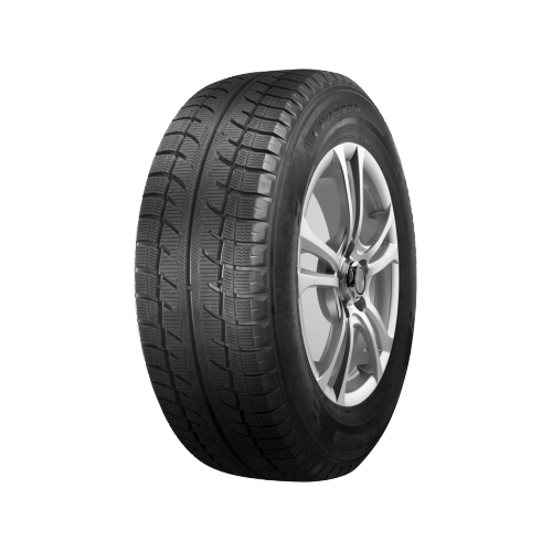 Зимние шины Austone SP-902 195/75 R16 107R C